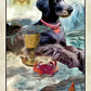 Wise Dog Tarot