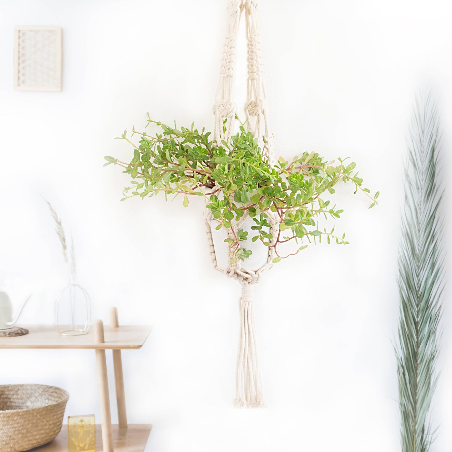 Macrame plant holder