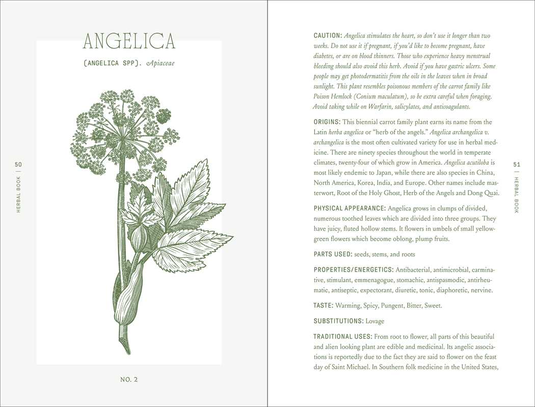 Complete Folk Herbal by Rebecca Beyer: Hardcover; 384 pages / English