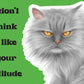 Cattitude by Rockpool  Publishing: Flashcards; 24 pages / English