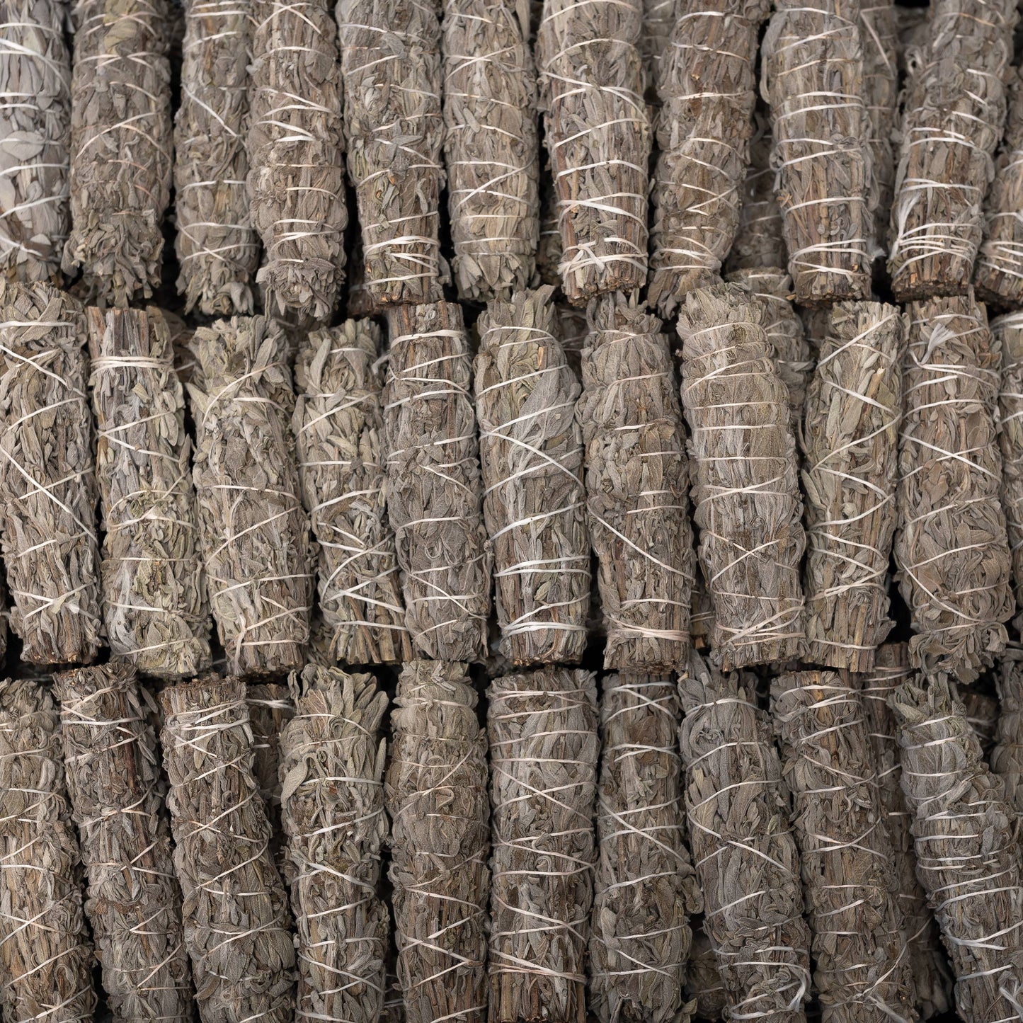 Common Sage (Salvia Officinalus) Herb Wands