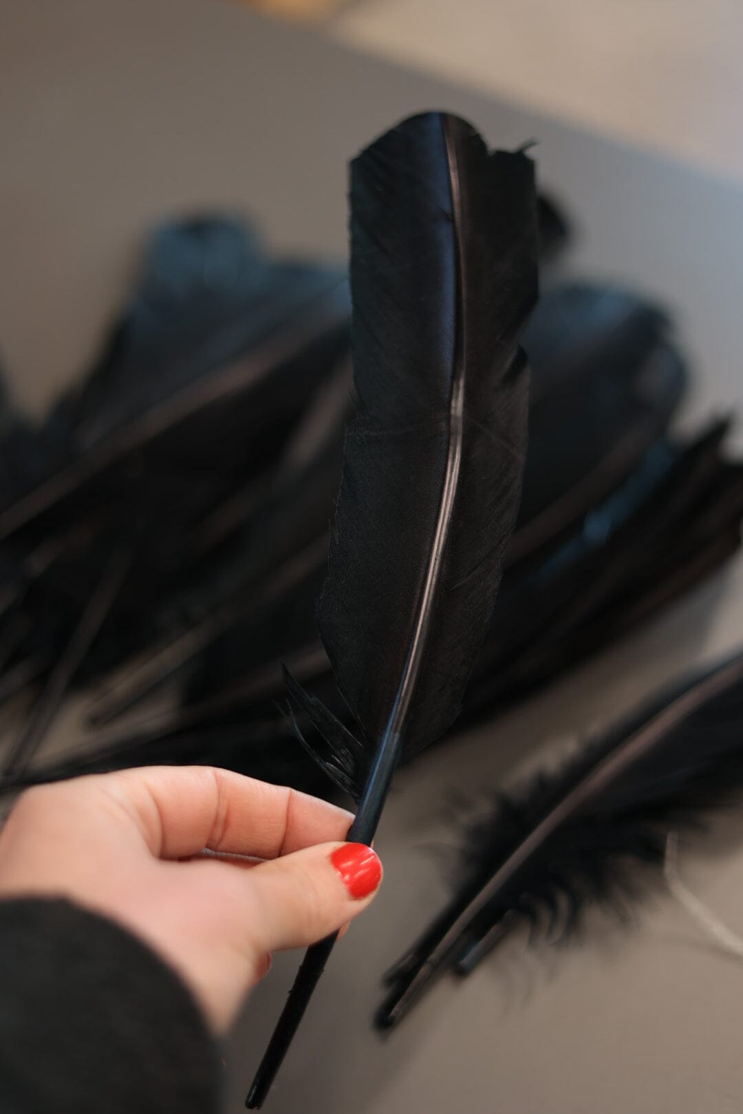 
                  
                    Black Crow Feathers for Smudging and smoke ritual Faiza Naturals 
                  
                