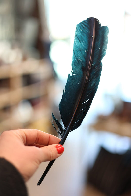 Black Crow Feathers for Smudging and smoke ritual Faiza Naturals 