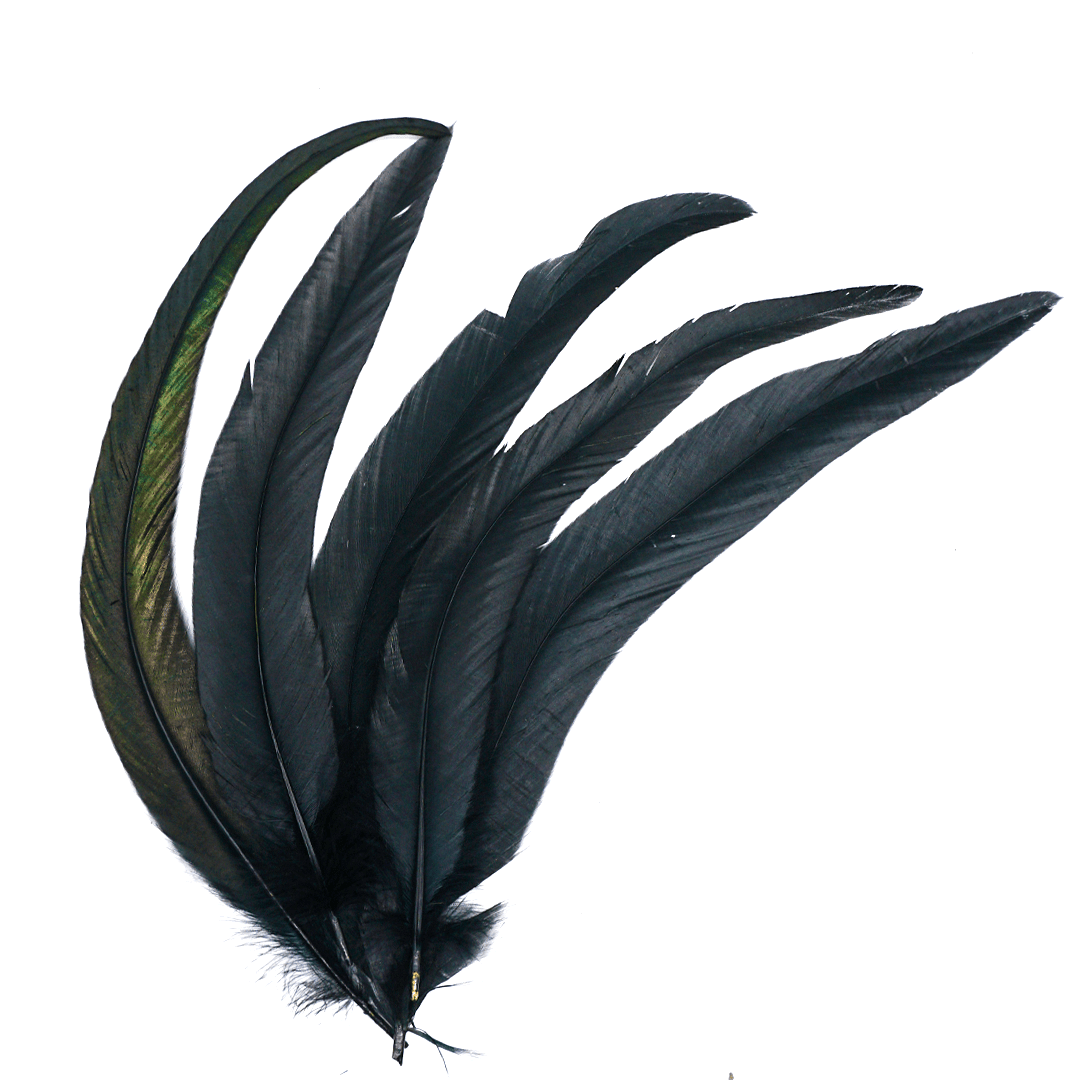 
                  
                    Black Feathers for Smudging Faiza Naturals 
                  
                