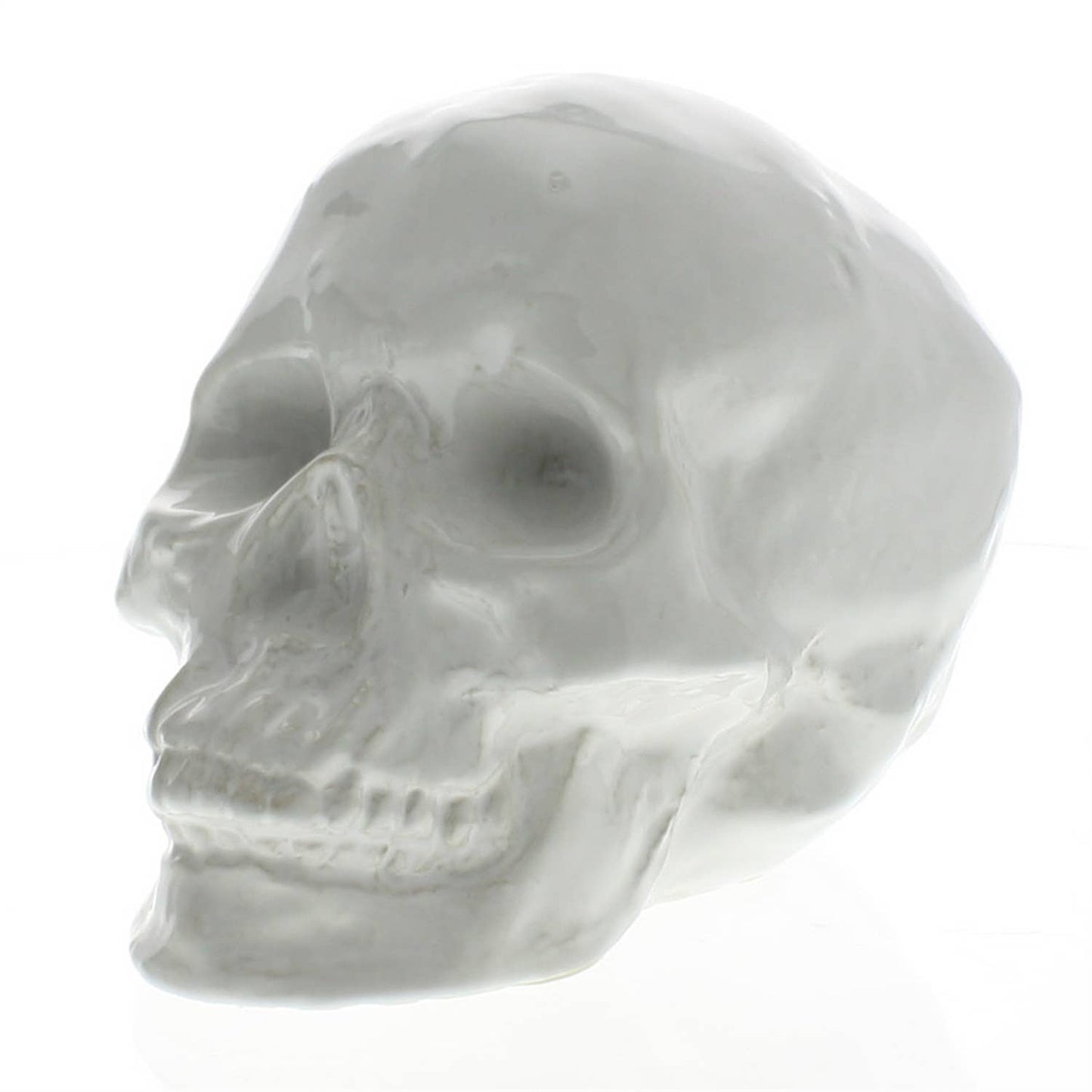 
                  
                    Ceramic Skull - White HomArt 
                  
                