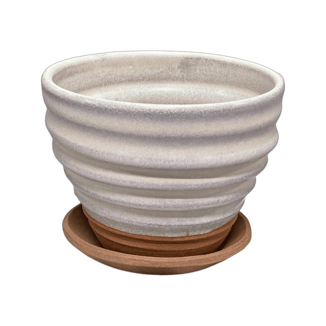 Celeste Jute Oval Rug – Rebecca Graves Pottery
